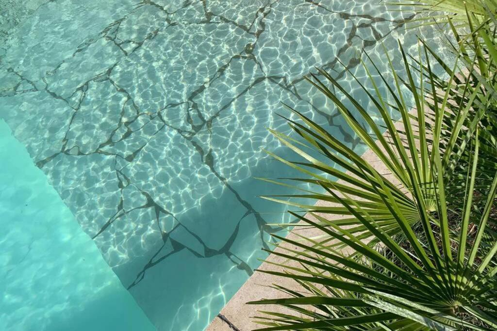 Villa Des Oliviers Avec Piscine Chassagny Luaran gambar