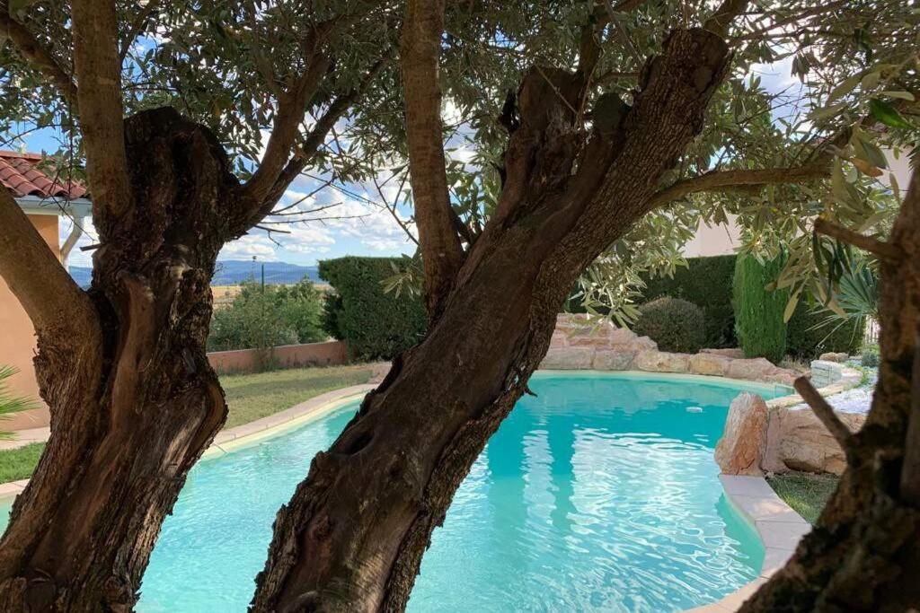 Villa Des Oliviers Avec Piscine Chassagny Luaran gambar
